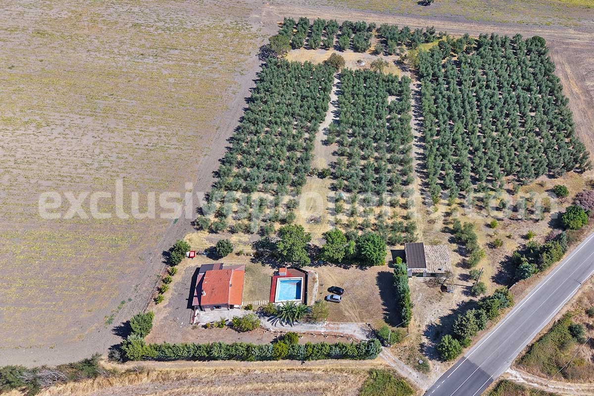 Country House with Pool and Olive Grove for Sale in Palata - Molise - Italy - Near Termoli