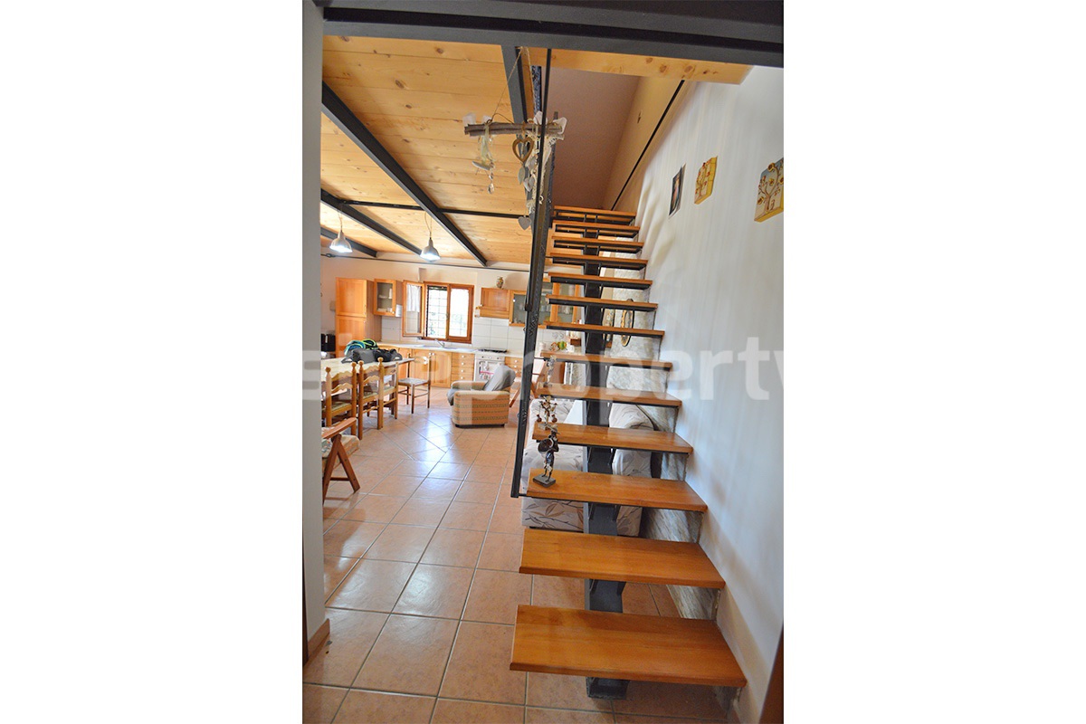 Country House with Pool and Olive Grove for Sale in Palata - Molise - Italy - Near Termoli