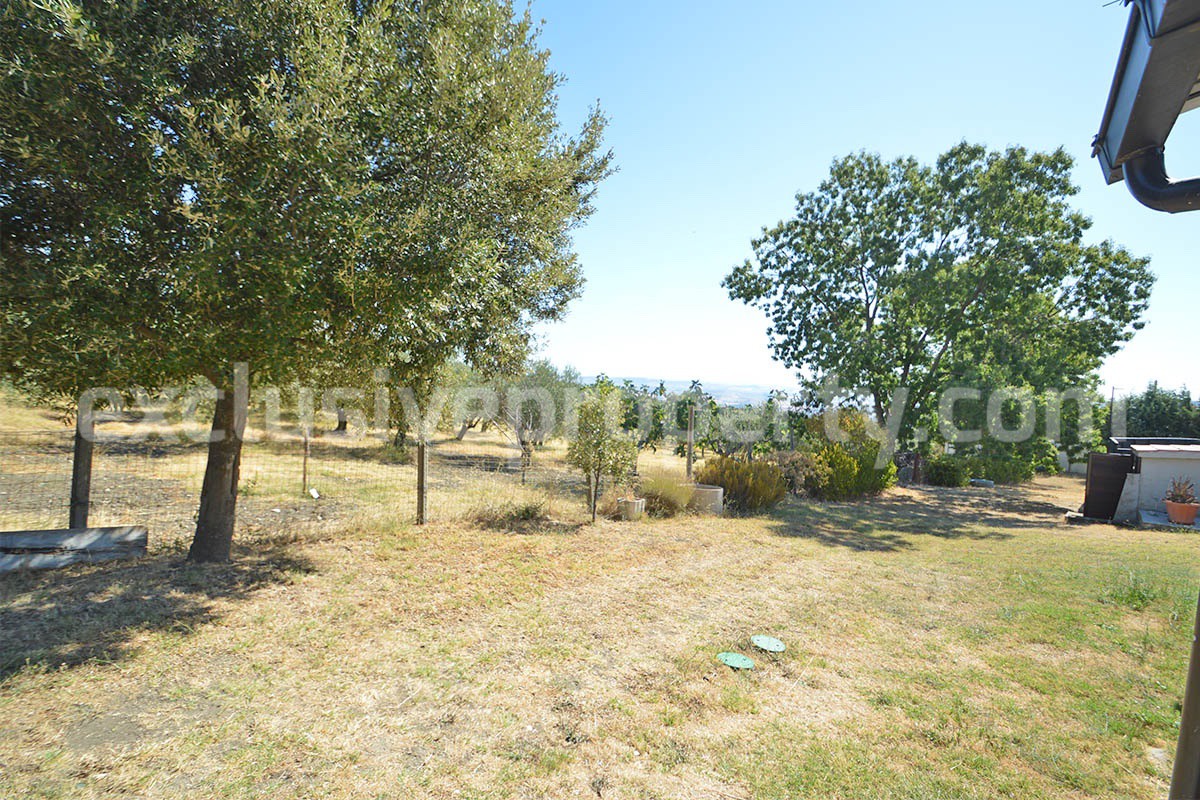 Country House with Pool and Olive Grove for Sale in Palata - Molise - Italy - Near Termoli