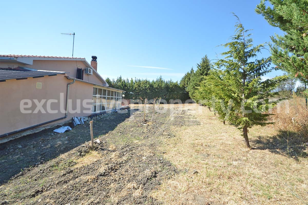 Country House with Pool and Olive Grove for Sale in Palata - Molise - Italy - Near Termoli