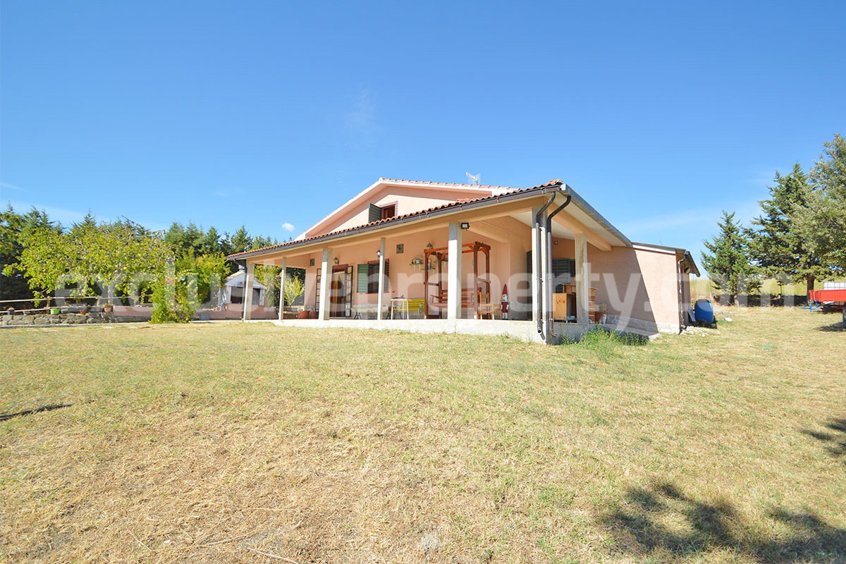 Country House with Pool and Olive Grove for Sale in Palata - Molise - Italy - Near Termoli