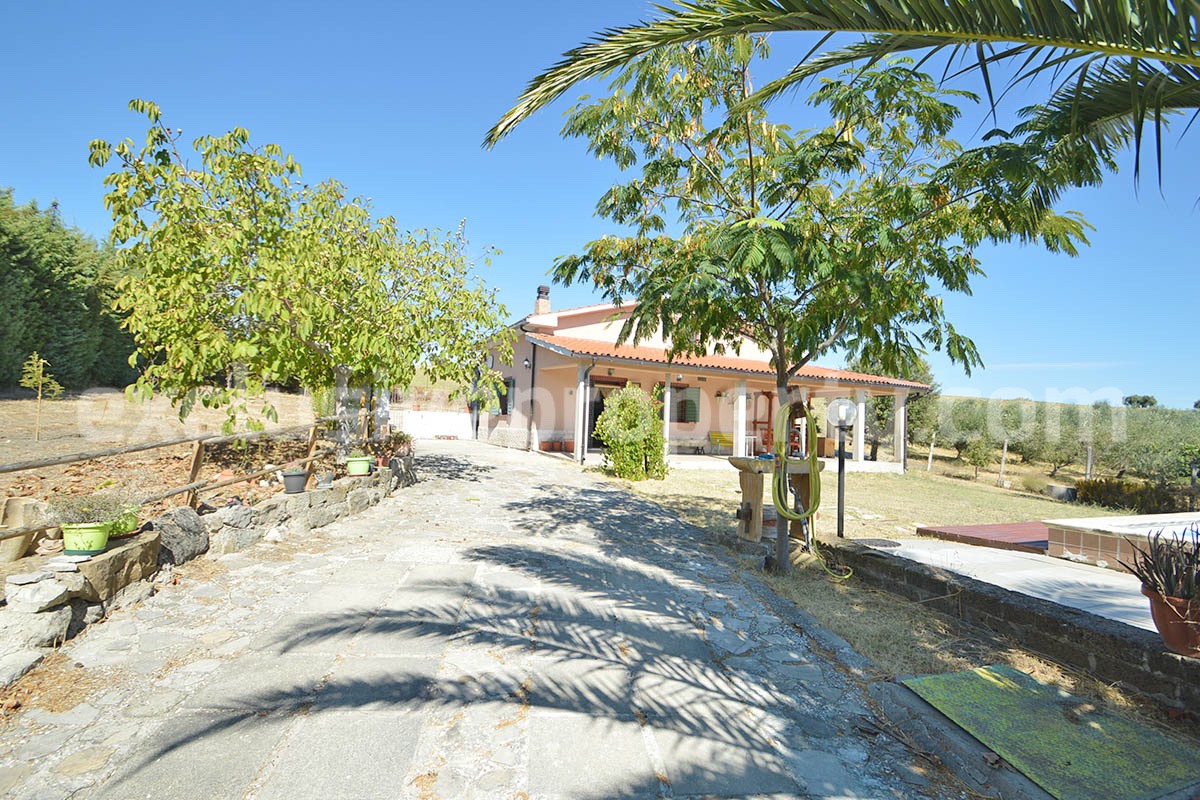 Country House with Pool and Olive Grove for Sale in Palata - Molise - Italy - Near Termoli