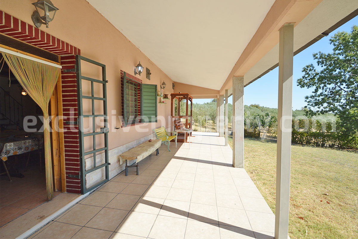 Country House with Pool and Olive Grove for Sale in Palata - Molise - Italy - Near Termoli