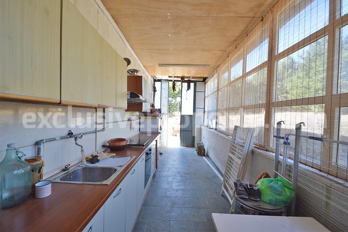 Country House with Pool and Olive Grove for Sale in Palata - Molise - Italy - Near Termoli