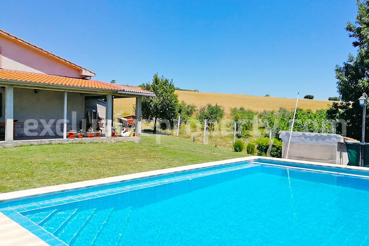 Country House with Pool and Olive Grove for Sale in Palata - Molise - Italy - Near Termoli