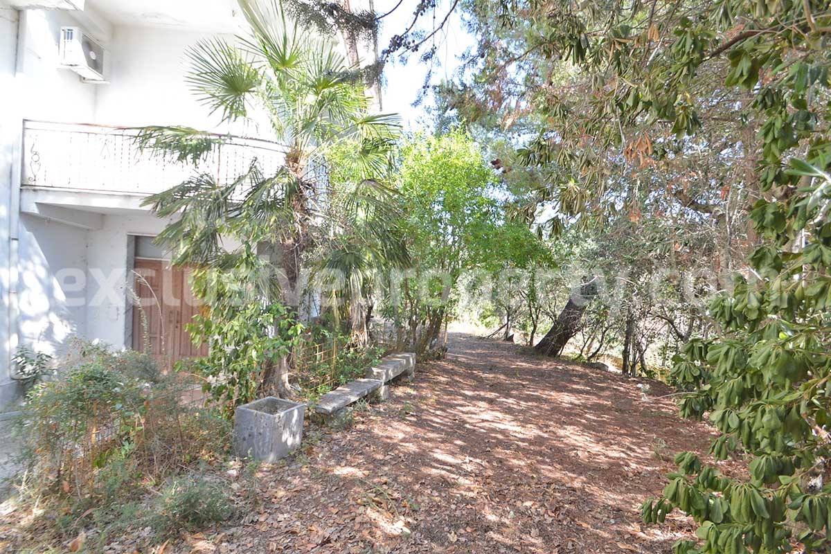 Country House with Olive Grove - Garage and Panoramic Terrace for Sale in Trivento - Molise - Italy