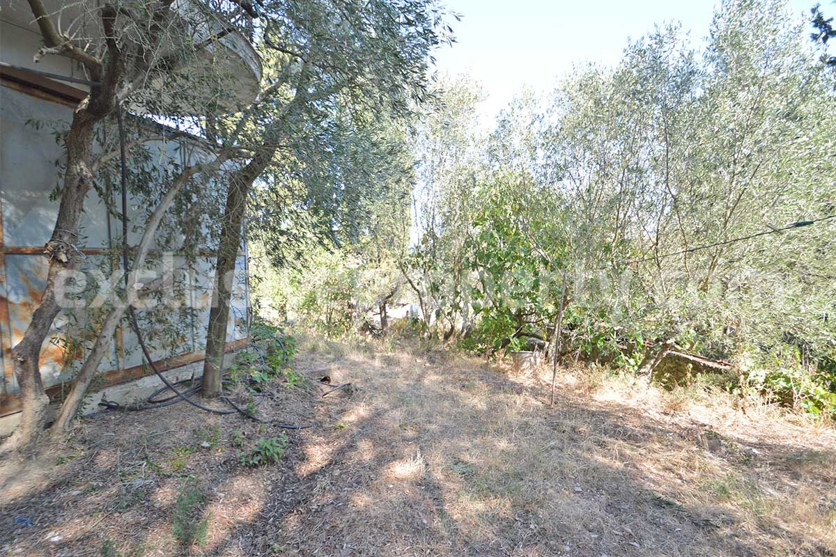 Country House with Olive Grove - Garage and Panoramic Terrace for Sale in Trivento - Molise - Italy