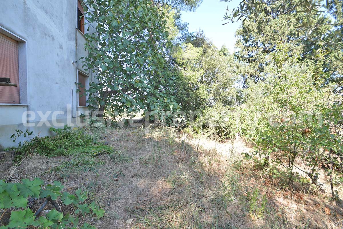 Country House with Olive Grove - Garage and Panoramic Terrace for Sale in Trivento - Molise - Italy