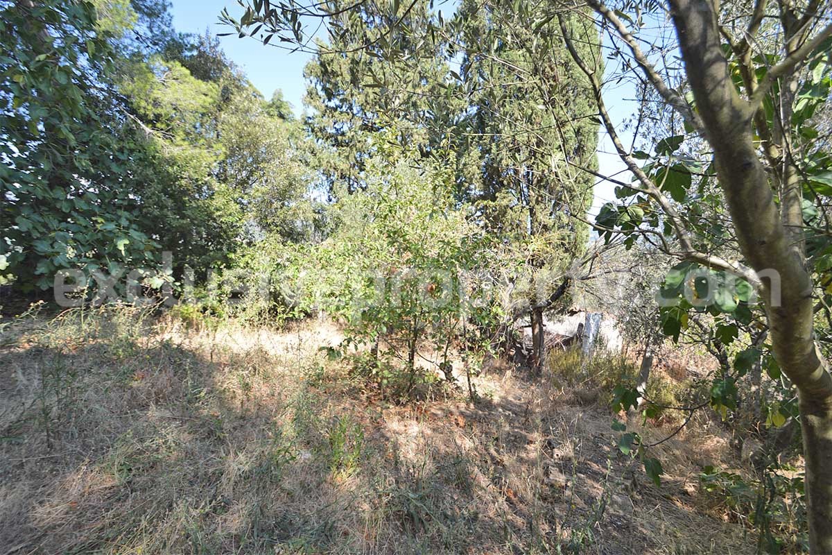 Country House with Olive Grove - Garage and Panoramic Terrace for Sale in Trivento - Molise - Italy