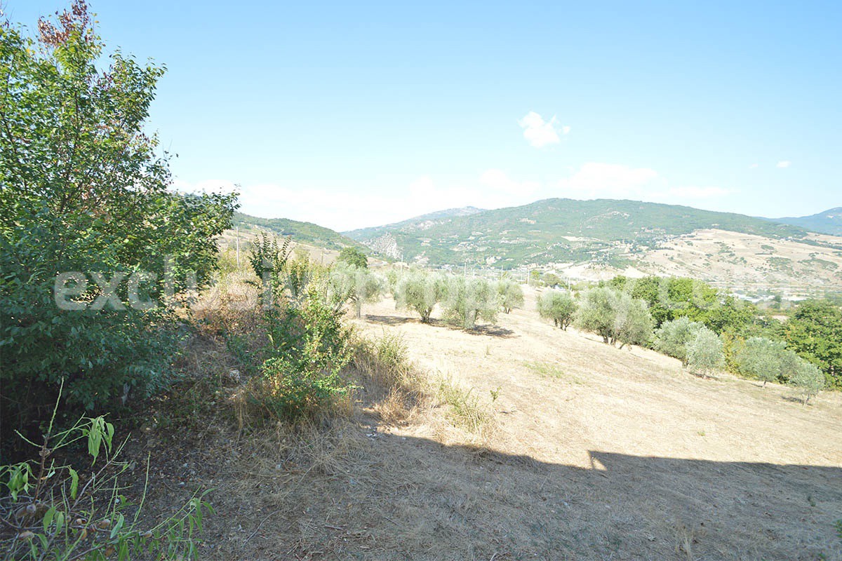 Country House with Olive Grove - Garage and Panoramic Terrace for Sale in Trivento - Molise - Italy