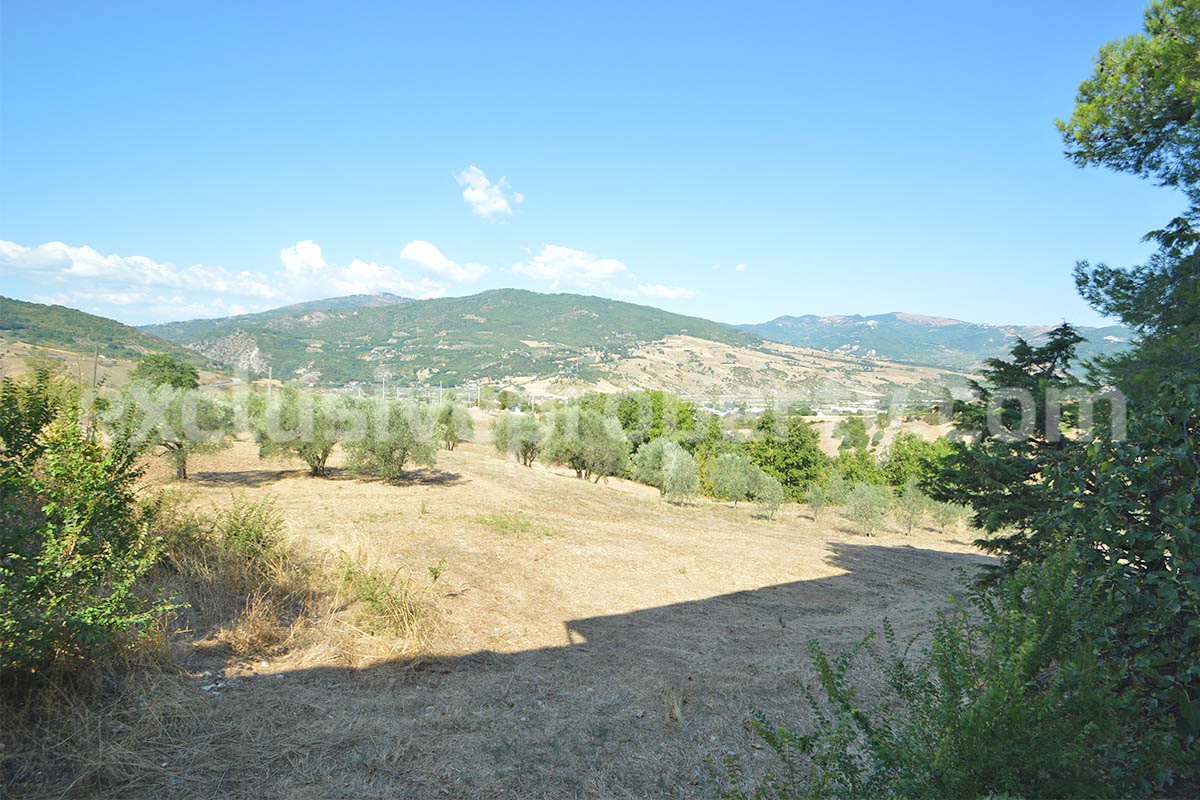 Country House with Olive Grove - Garage and Panoramic Terrace for Sale in Trivento - Molise - Italy