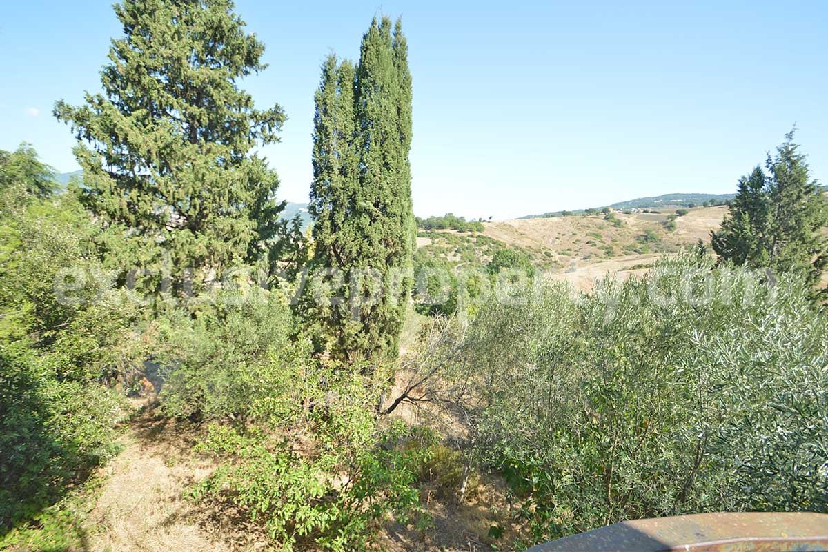 Country House with Olive Grove - Garage and Panoramic Terrace for Sale in Trivento - Molise - Italy