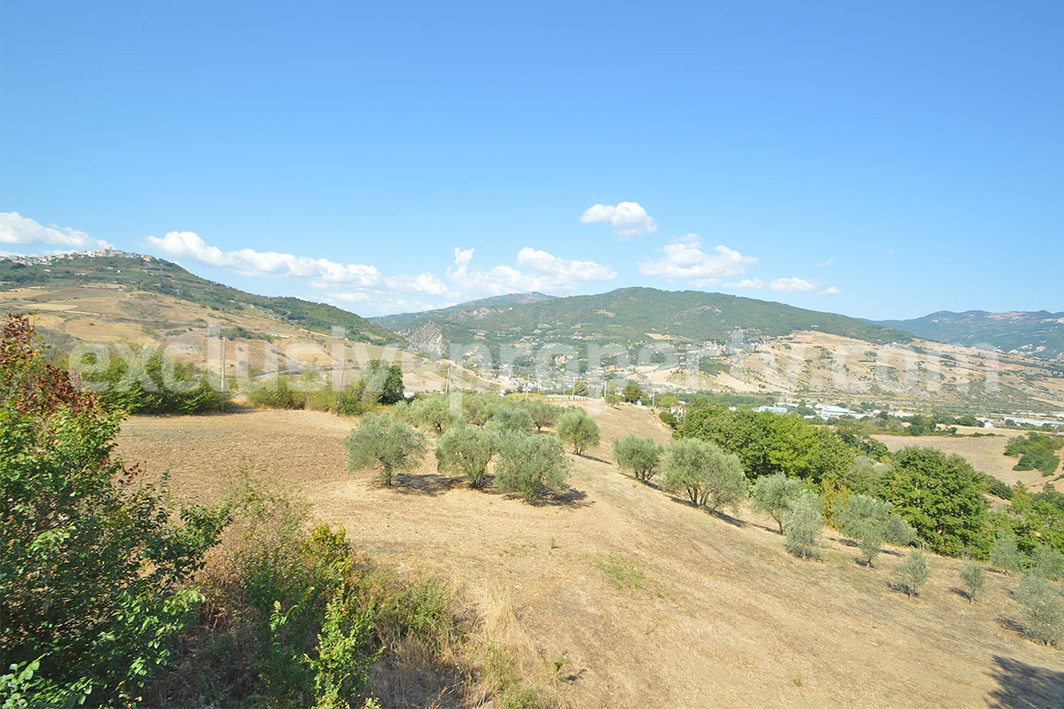 Country House with Olive Grove - Garage and Panoramic Terrace for Sale in Trivento - Molise - Italy