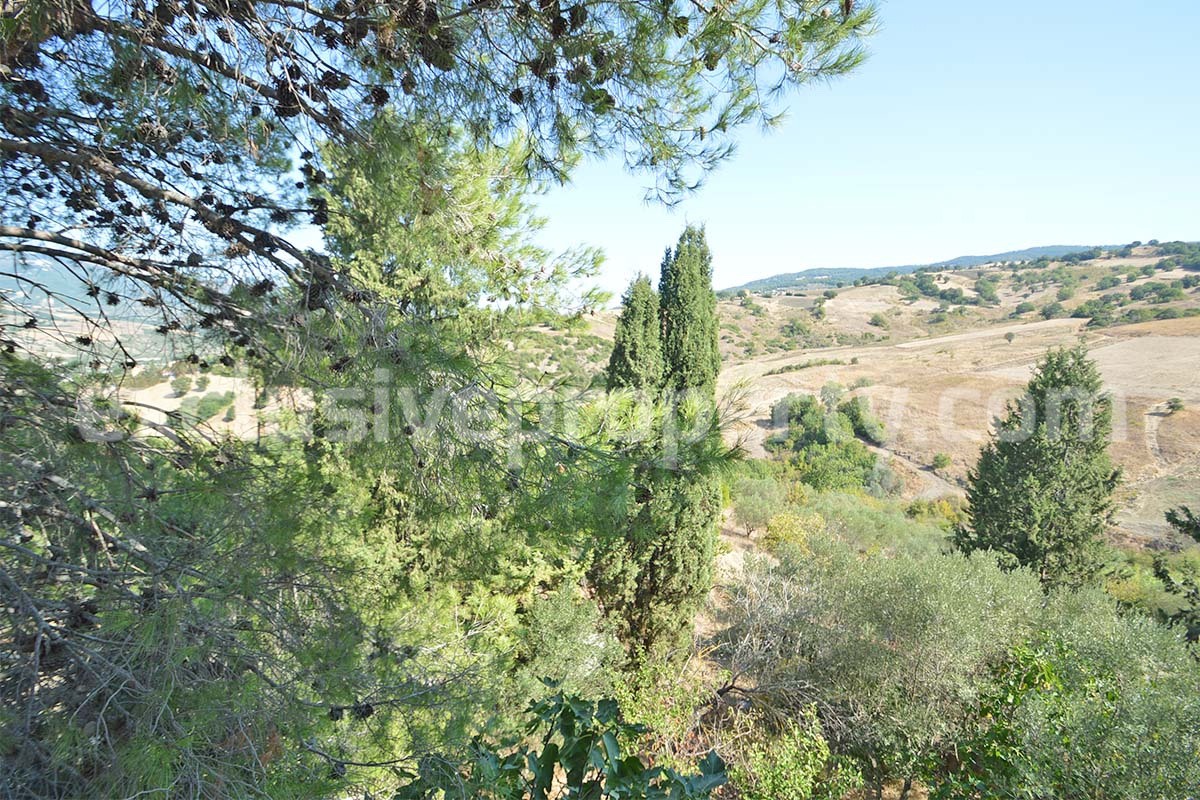 Country House with Olive Grove - Garage and Panoramic Terrace for Sale in Trivento - Molise - Italy