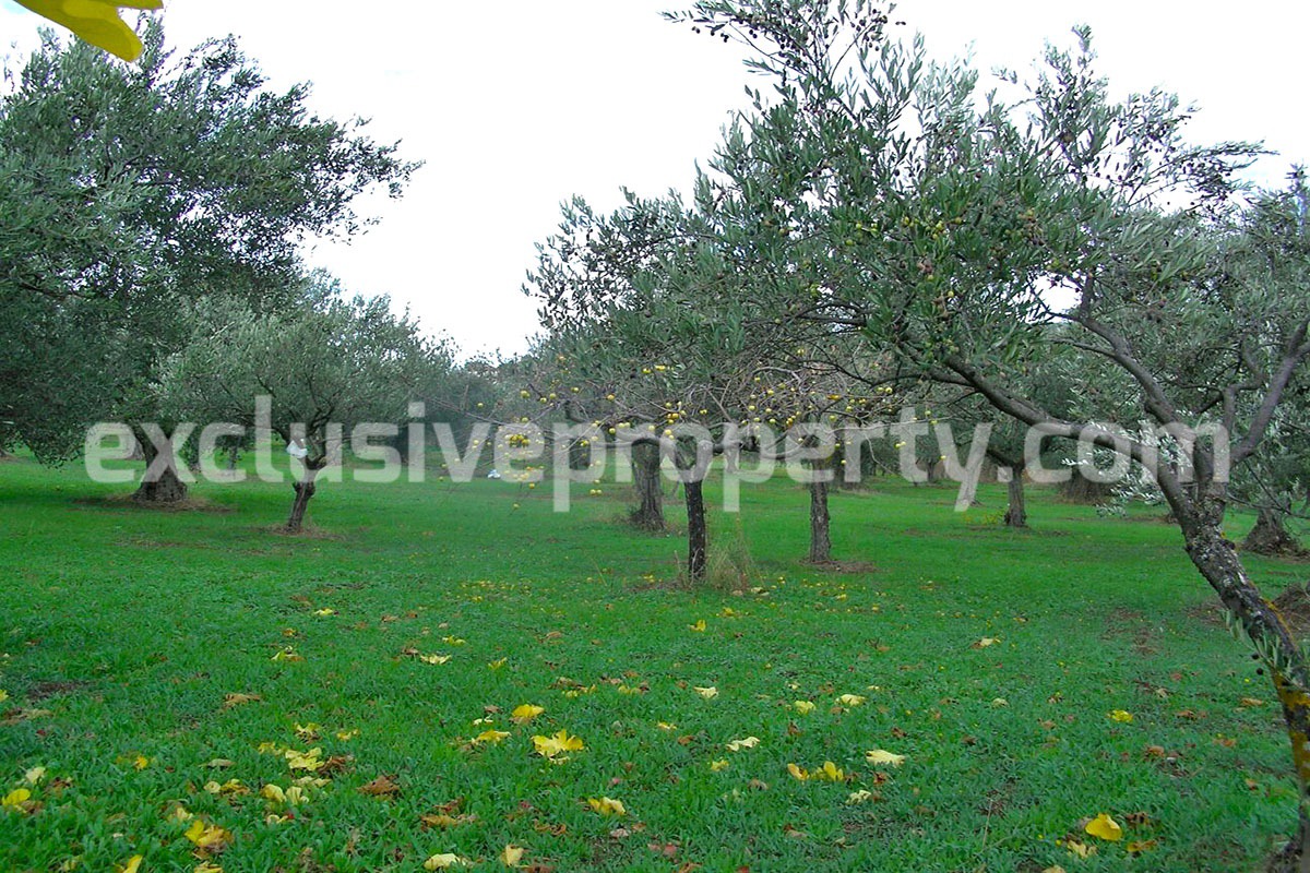 Property with one hectare of land near the for sale lake in Abruzzo 35
