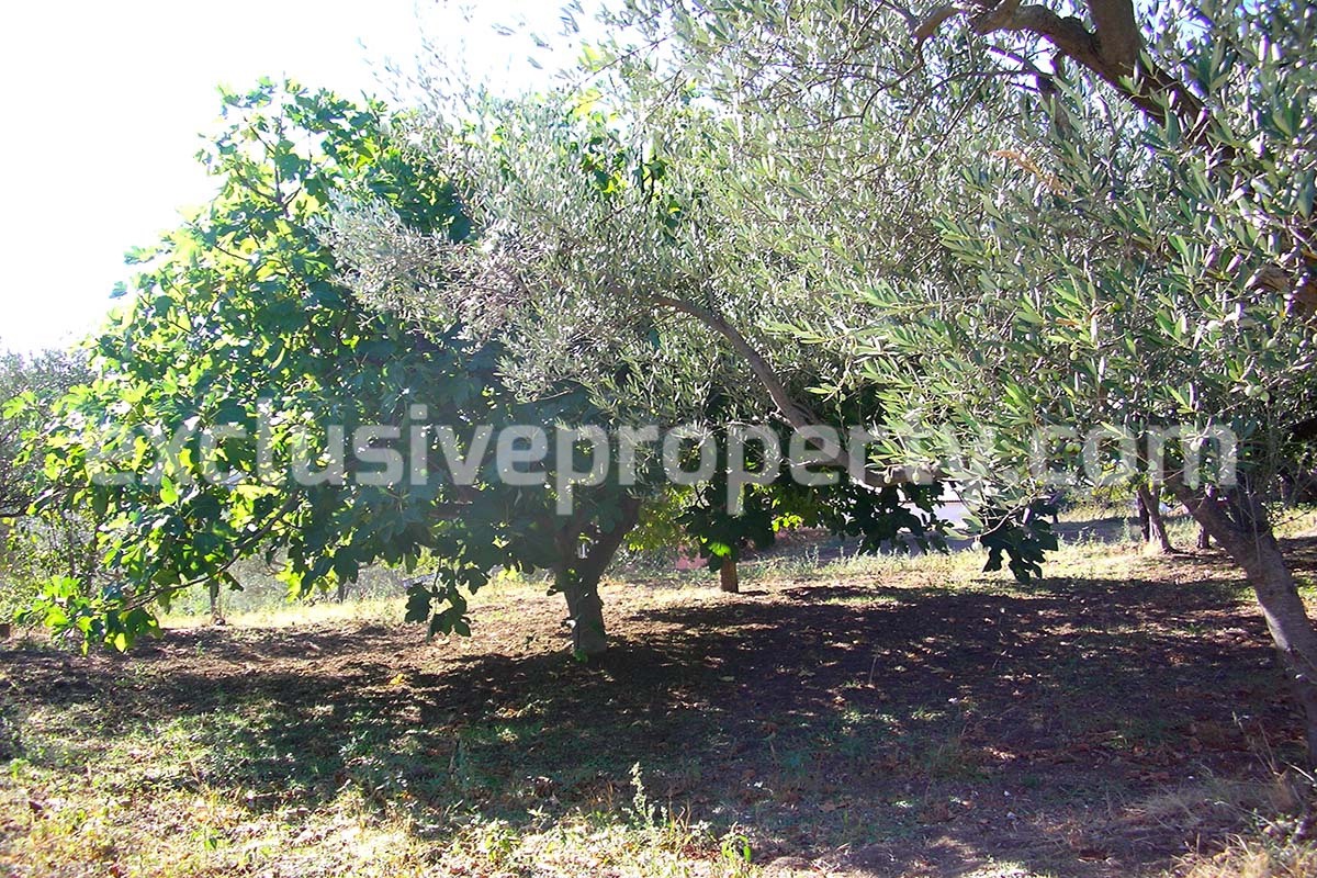 Property with one hectare of land near the for sale lake in Abruzzo 36