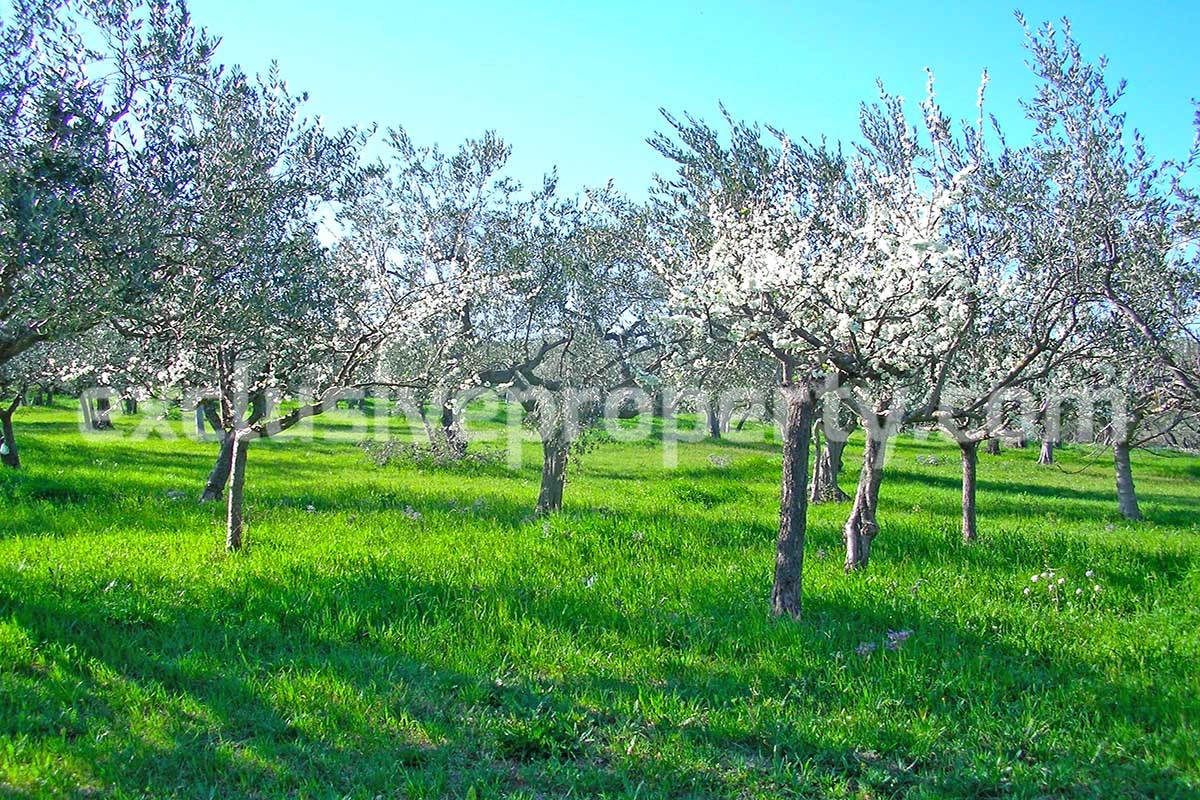 Property with one hectare of land near the for sale lake in Abruzzo 39
