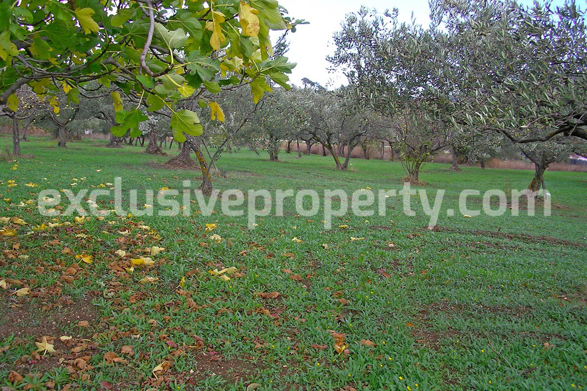 Property with one hectare of land near the for sale lake in Abruzzo