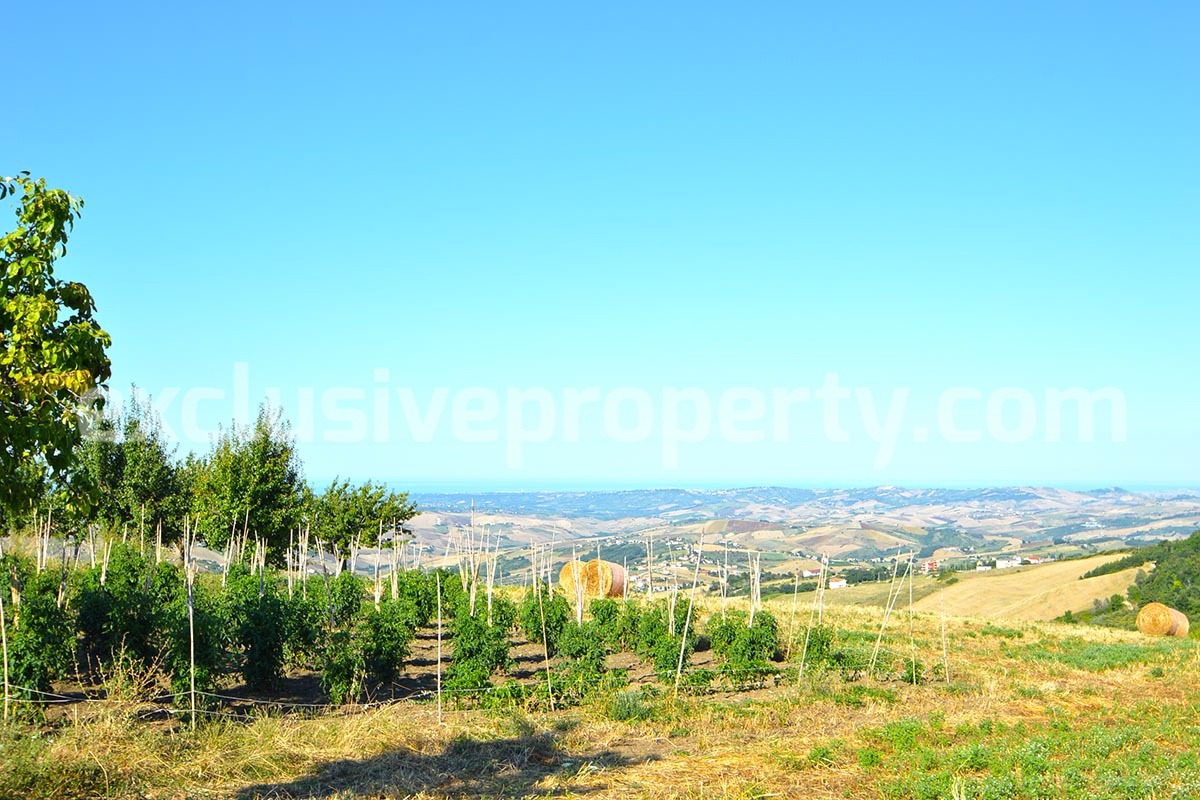 Ancient stone property with 6 hectares of land for sale in Abruzzo - Italy 4