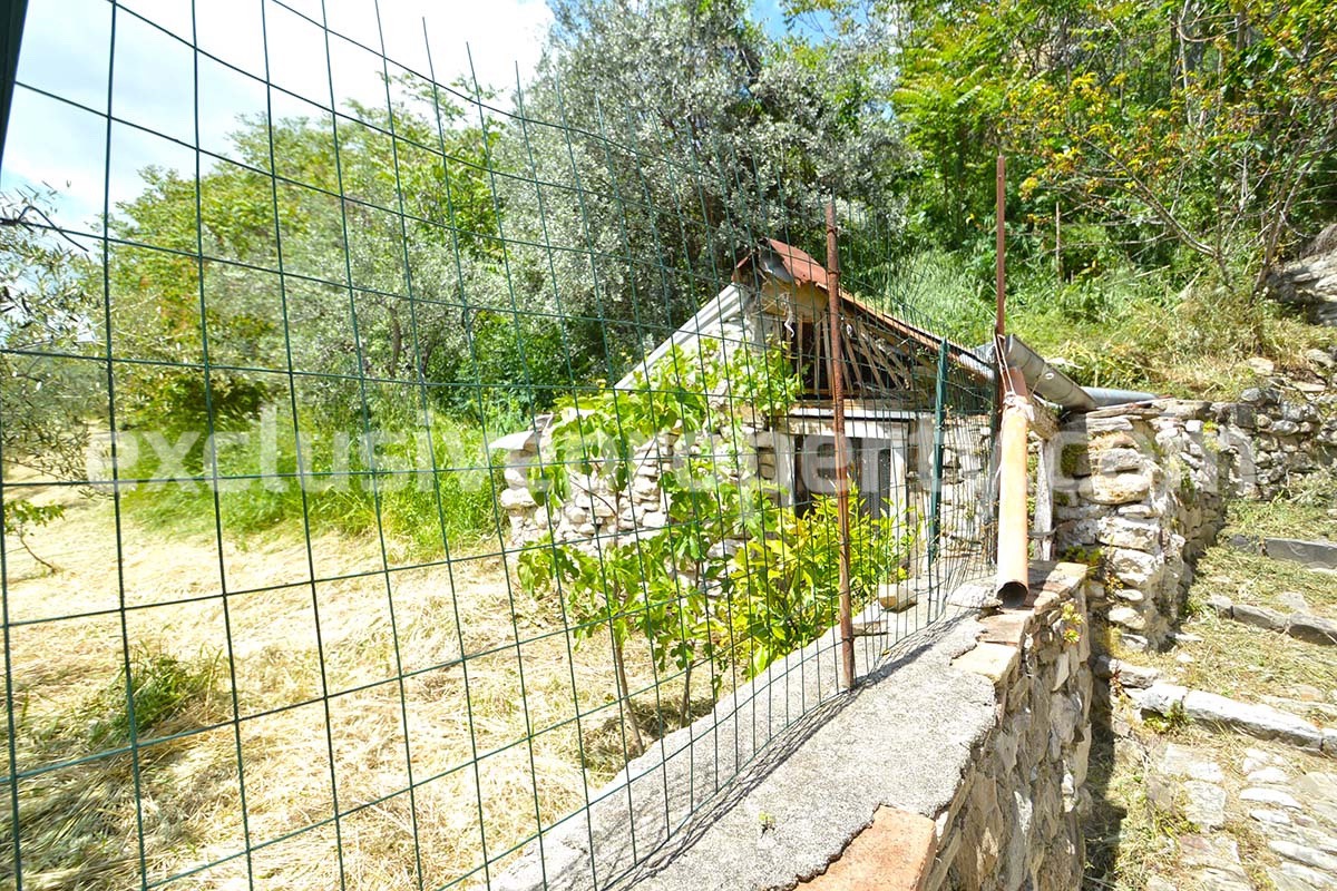 Ancient stone house with garden and olive trees for sale in Molise 4
