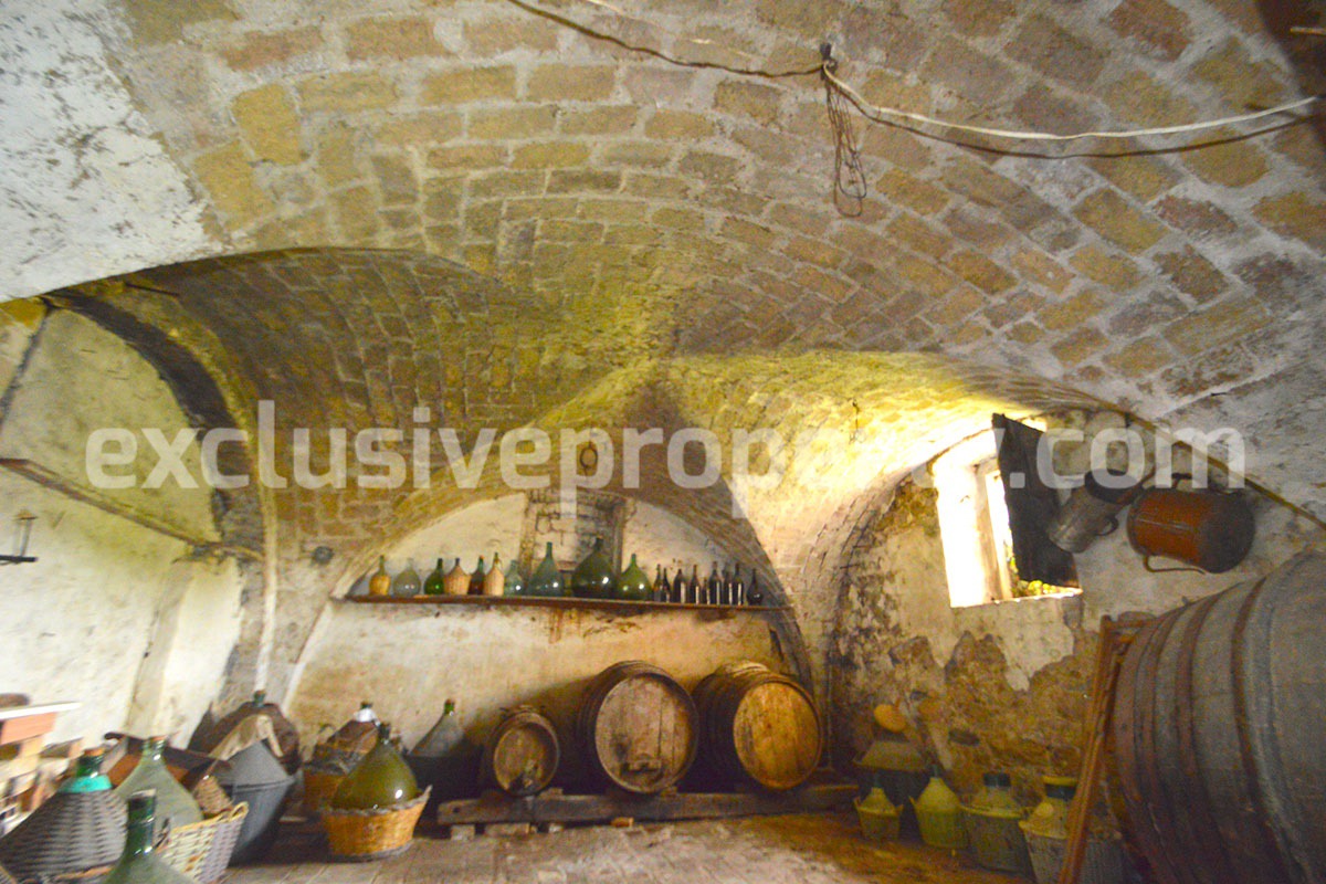 Spacious and ancient stone and brick house with land for sale in Abruzzo 10