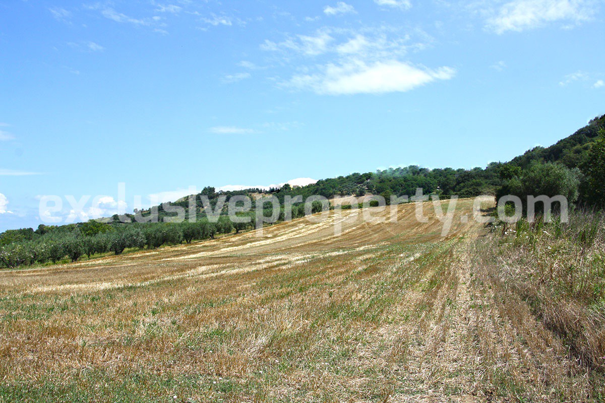 Land with sea view for sale in Petacciato - Molise Region - Italy