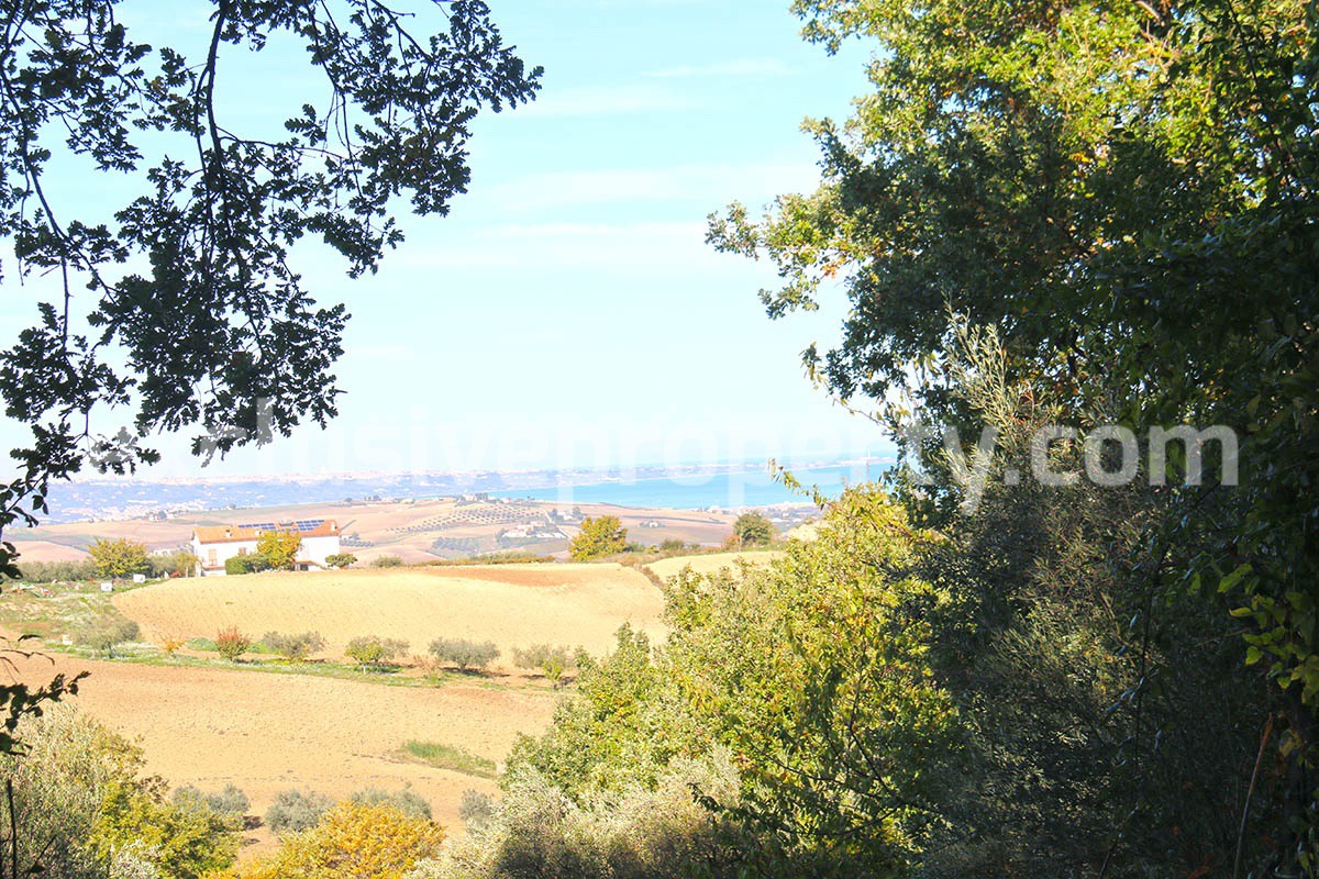 Land of 5000 sq m with sea view for sale in Petacciato - Molise Region