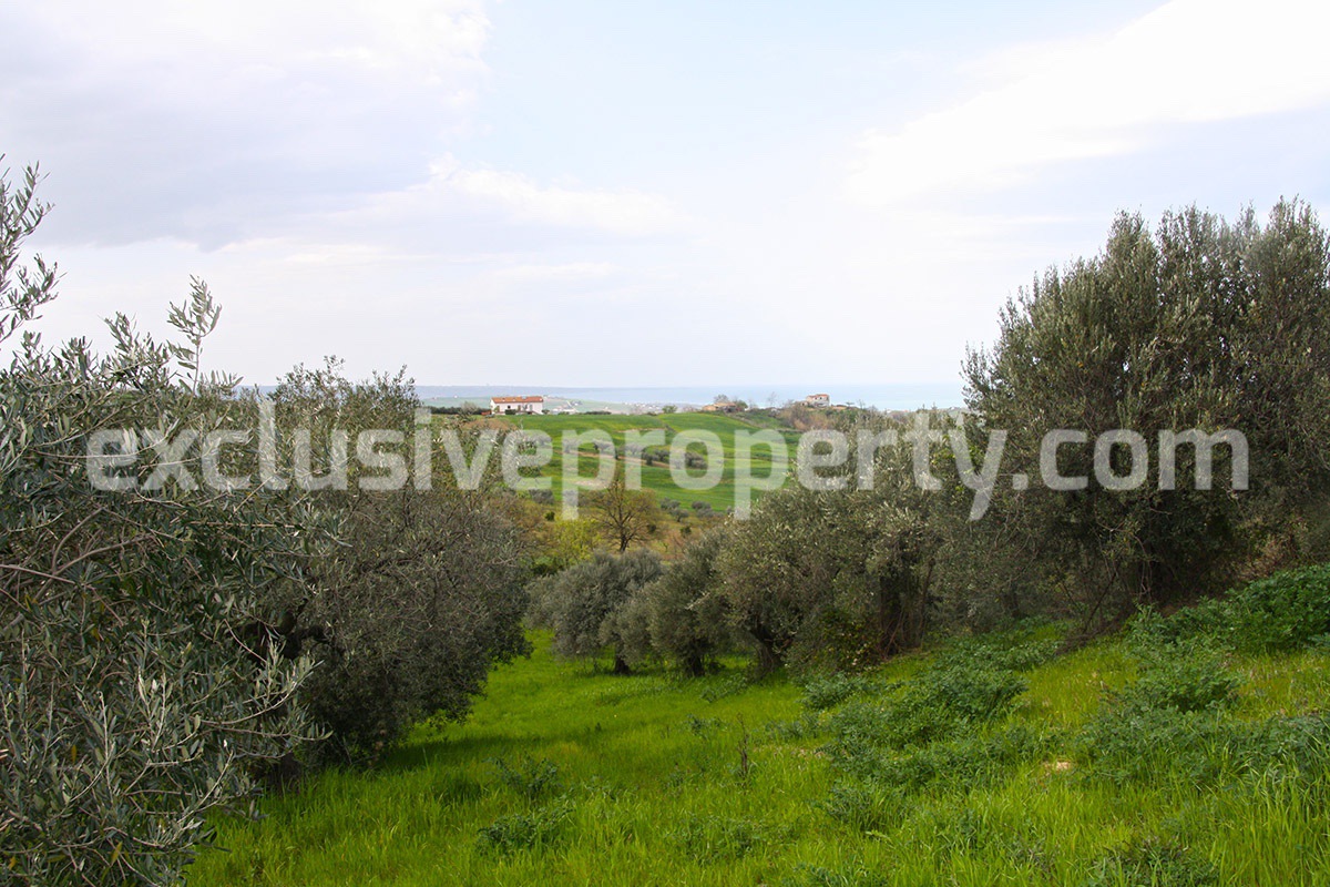 Land of 5000 sq m with sea view for sale in Petacciato - Molise Region