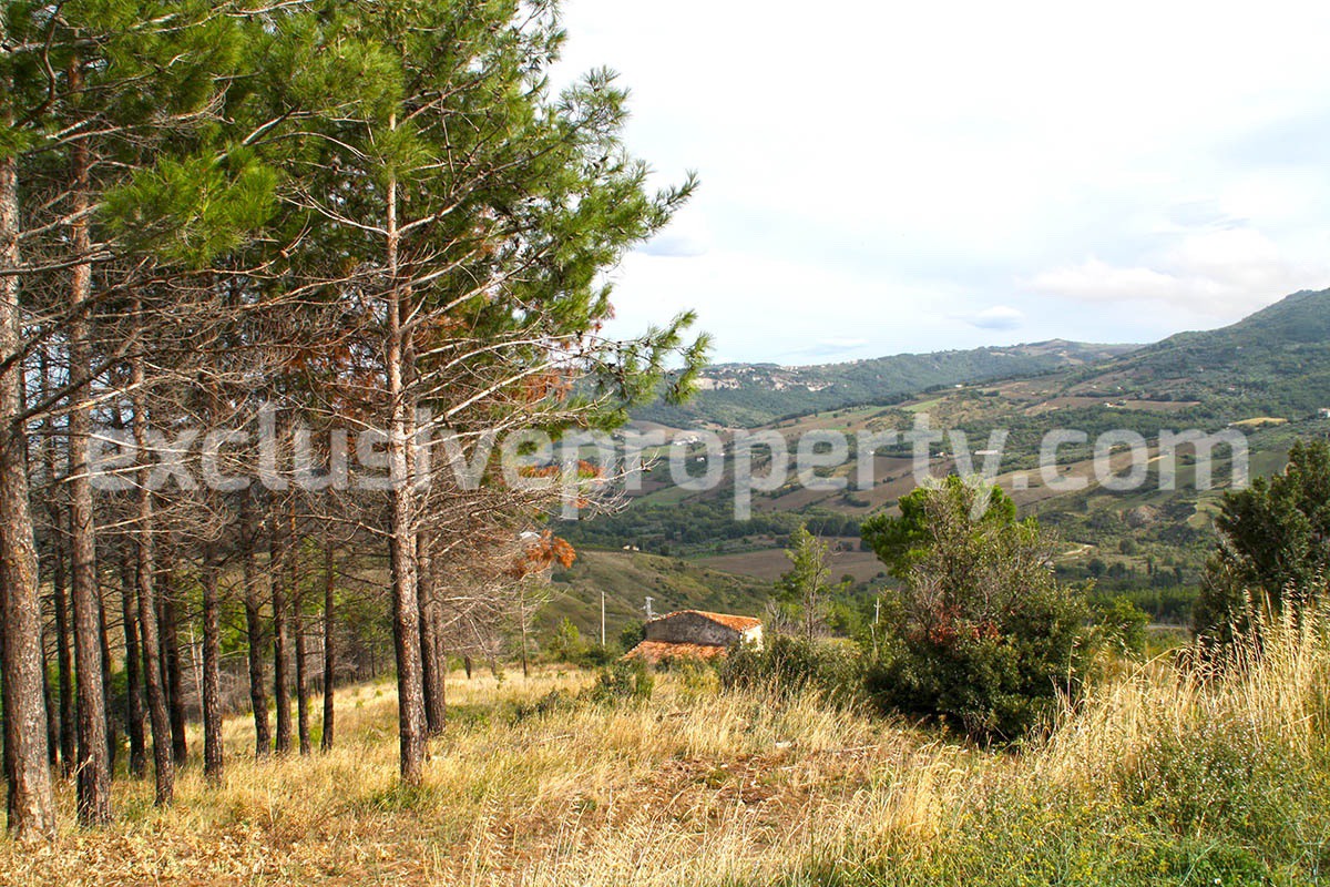 Farmhouse to renovate with 10 acres for sale in Abruzzo - Italy 16