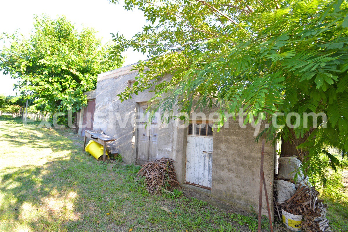 House with land and agricultural shed for sale in Abruzzo