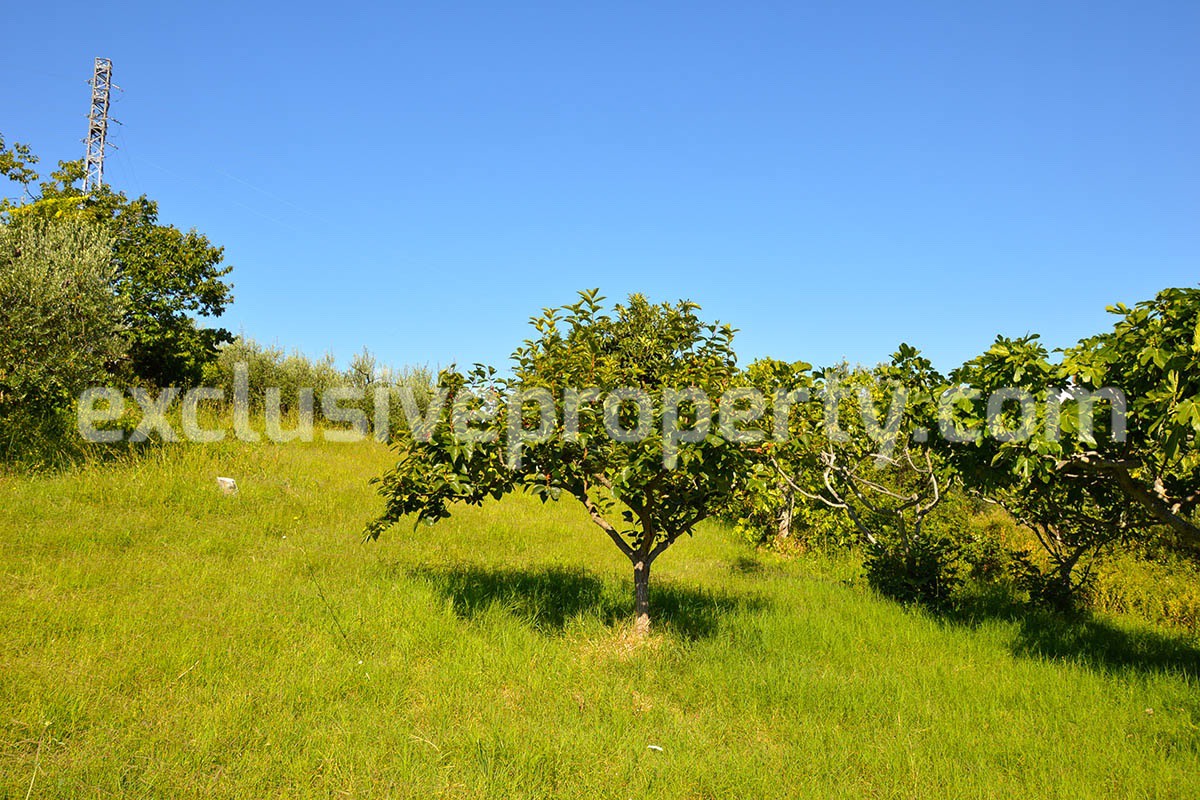 Country house with land and fruit trees for sale near the sea in Abruzzo