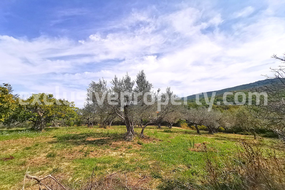 Property with one hectare of land near the for sale lake in Abruzzo 33