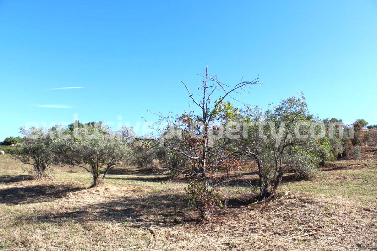 Land of 45000 sq m in one plot for sale in Molise - Italy