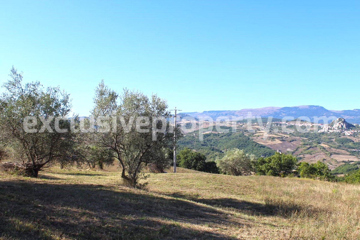Land of 45000 sq m in one plot for sale in Molise - Italy