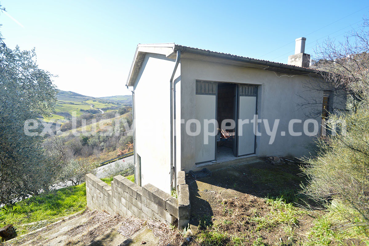 House with land and other olive trees for sale in Molise 1