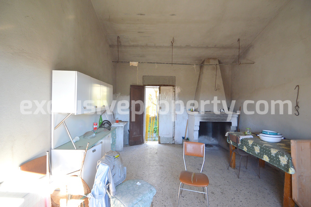 House with land and other olive trees for sale in Molise 5