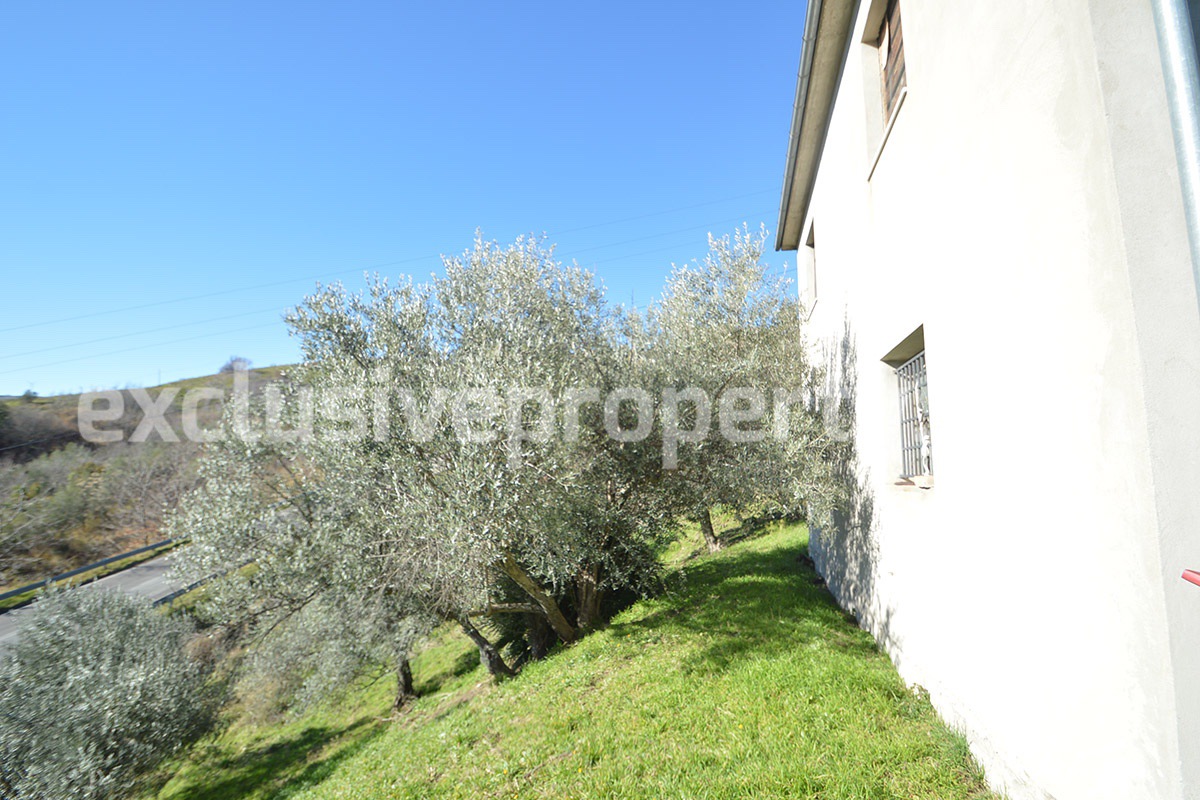 House with land and other olive trees for sale in Molise 7