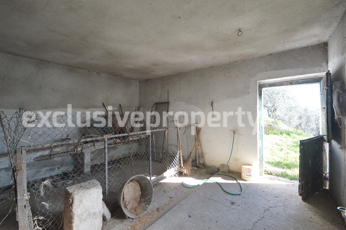 House with land and other olive trees for sale in Molise 10