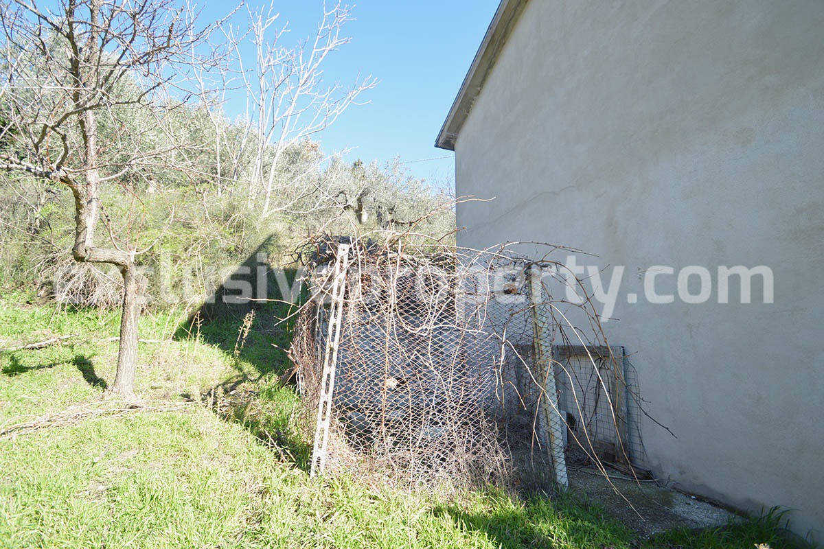 House with land and other olive trees for sale in Molise 12