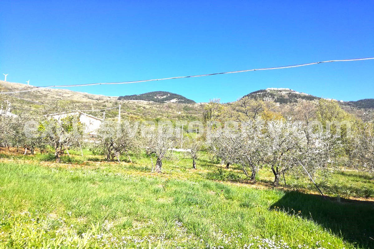 Cottages adjacent with garden for sale in a quiet and relaxing area for sale in Italy 22