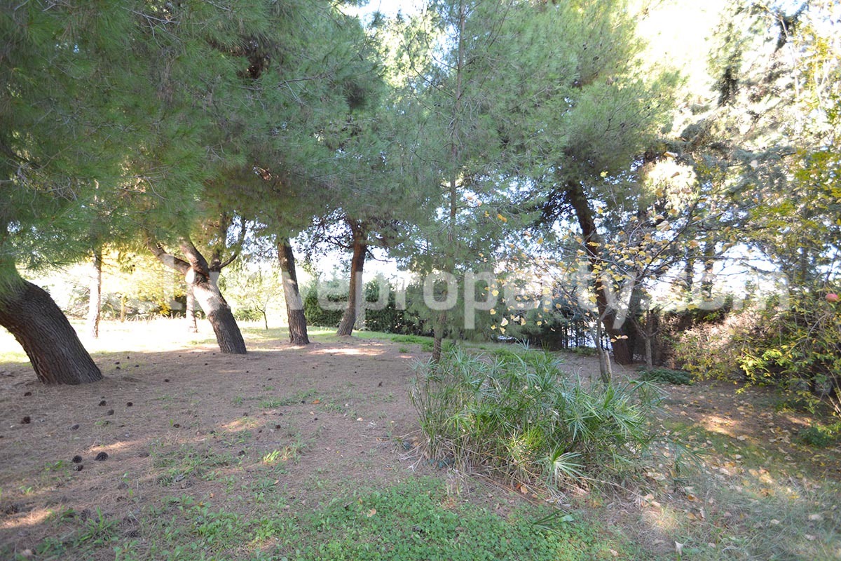 Property with garden for sale in Pollutri 15 min from the sea - Abruzzo 4