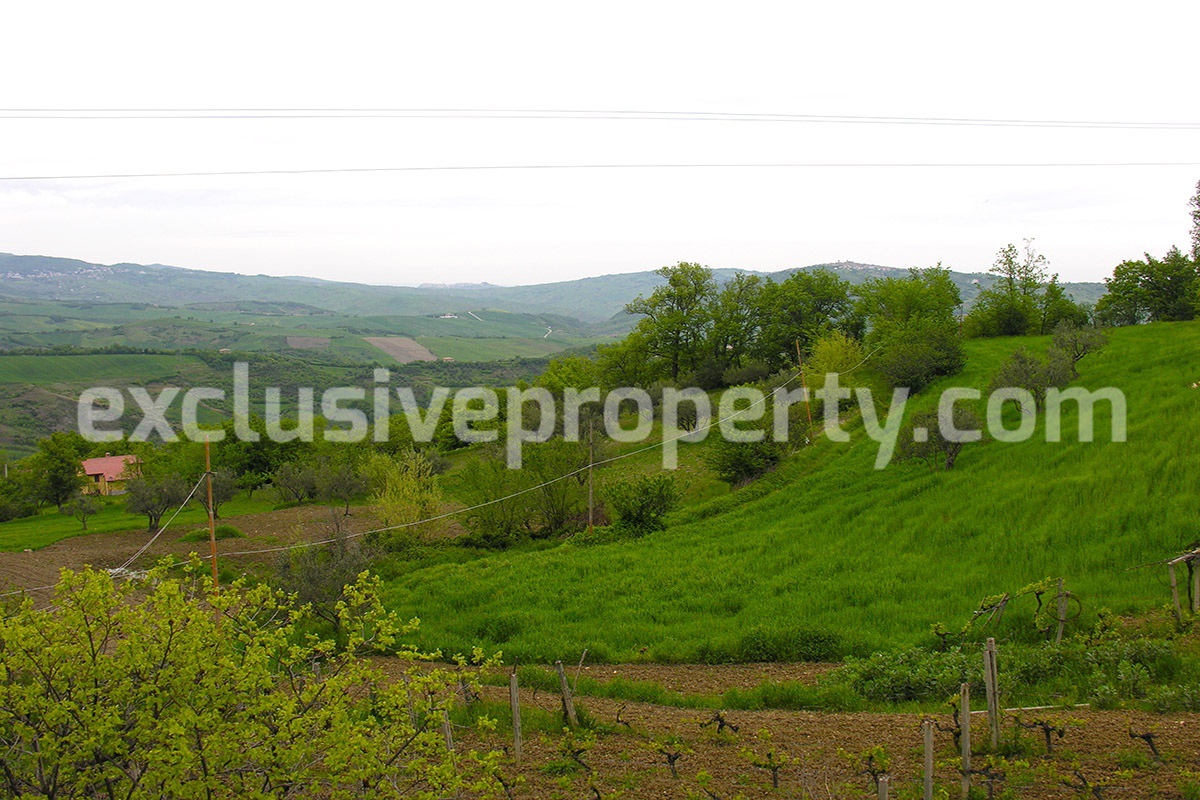 Country house with terrace and barn for sale in Abruzzo - Italy 26