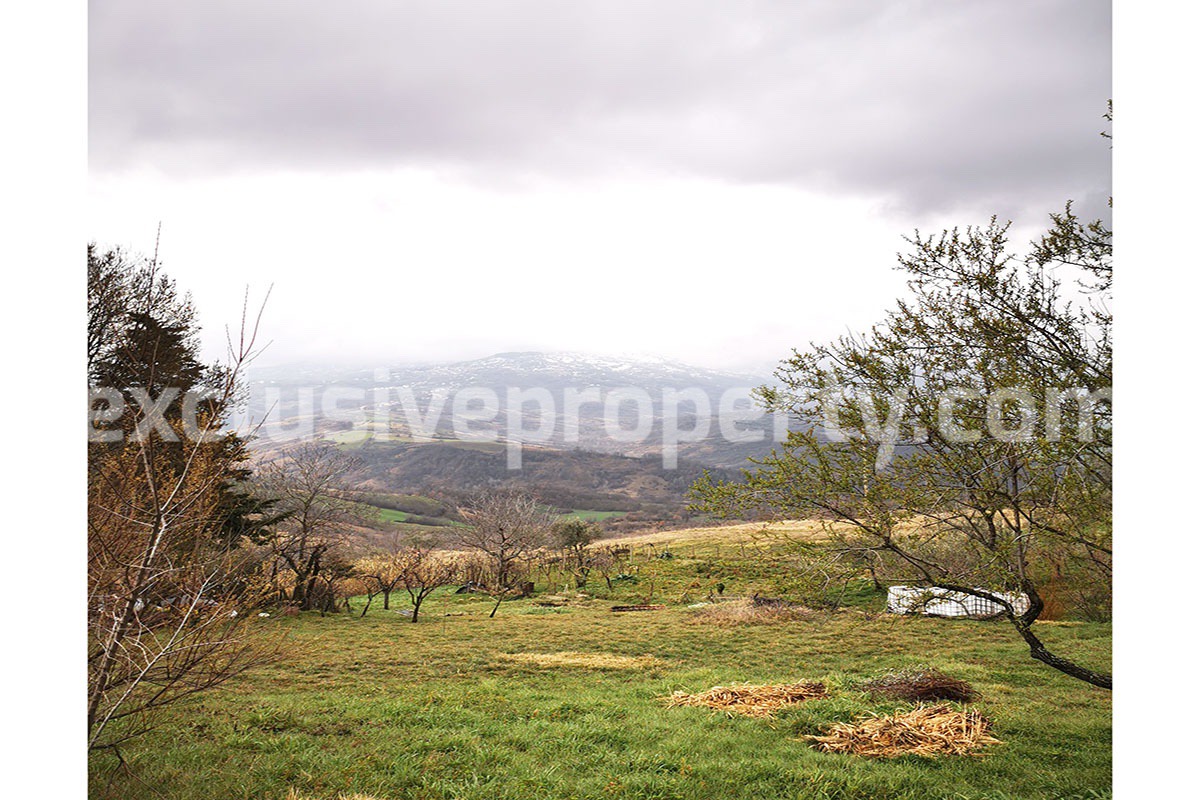 Country house for sale in Guilmi countryside on the Abruzzo hills 4