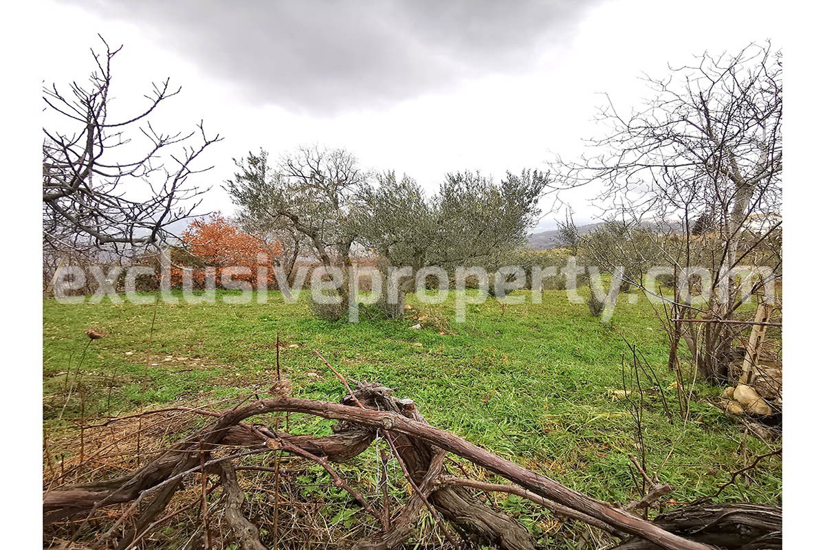 Country house for sale in Guilmi countryside on the Abruzzo hills 9