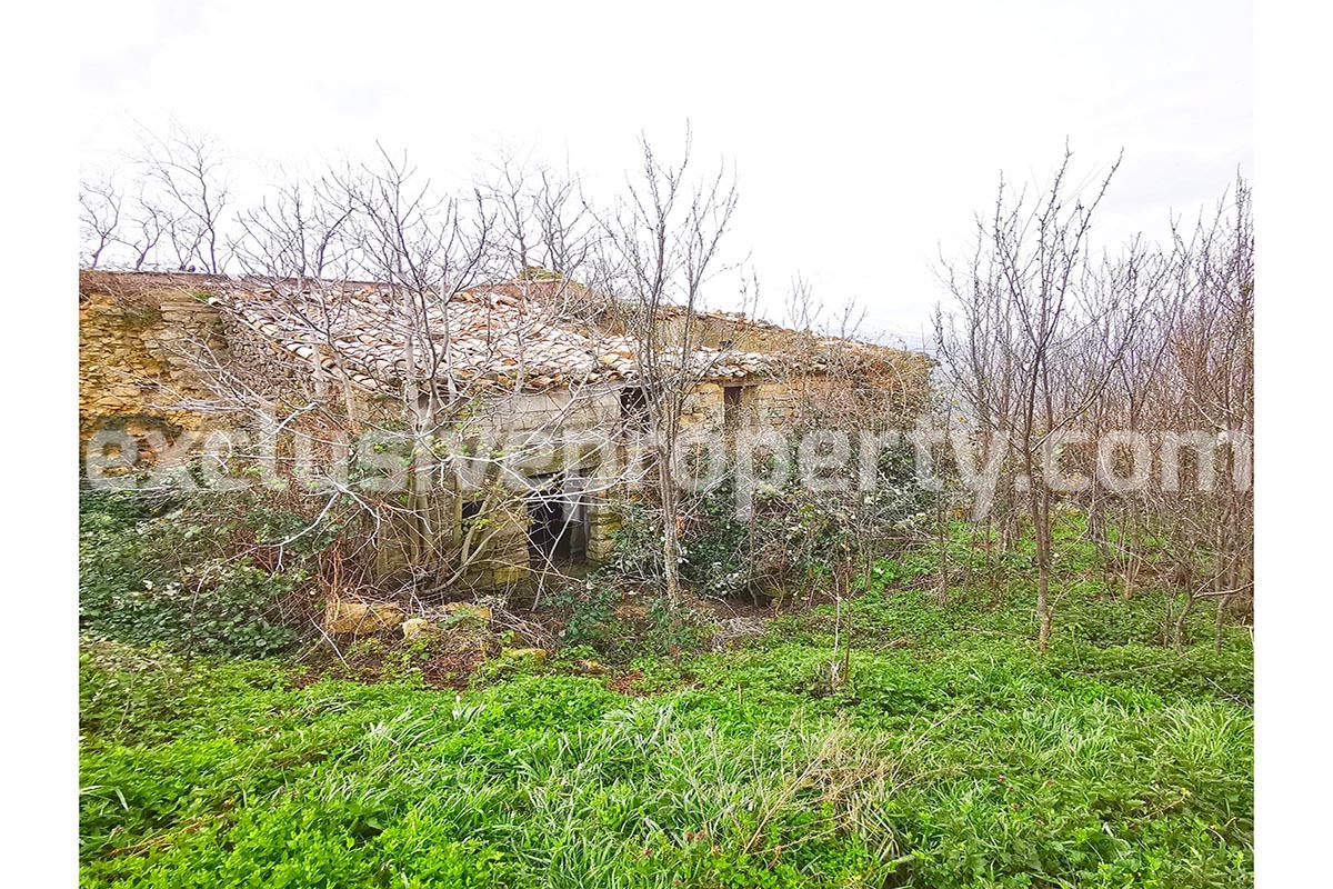 Country house for sale in Guilmi countryside on the Abruzzo hills 23