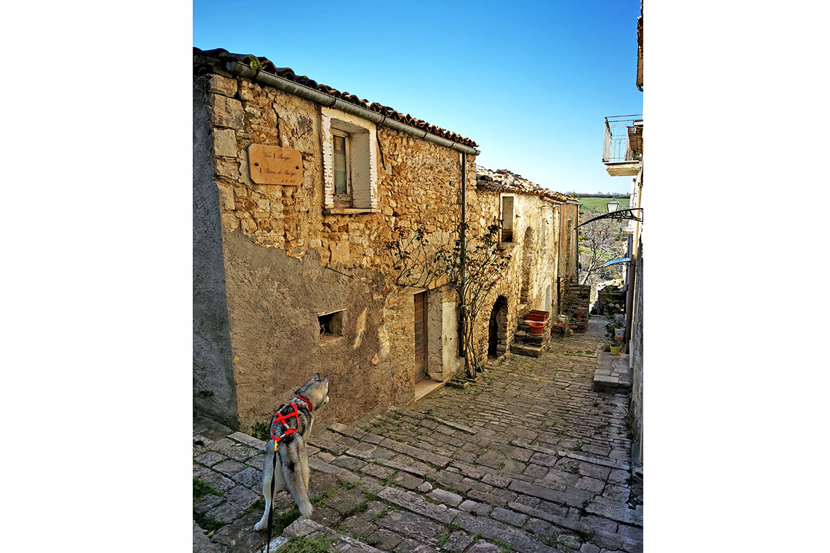 A house near the Adriatic Coast 6